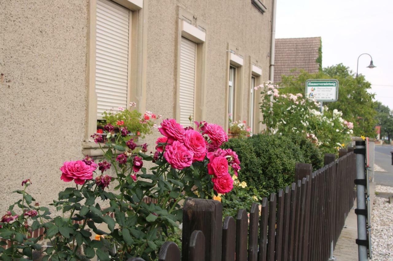 Zum Alten König Cavertitz Exterior foto